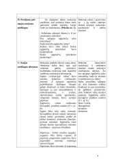 Istorijos pamokos planas-konspektas: Egiptiečių pasiekimai 3 puslapis