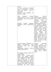 Istorijos pamokos planas-konspektas: Egiptiečių pasiekimai 4 puslapis