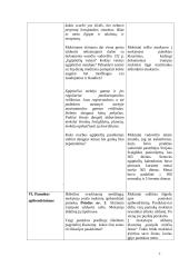 Istorijos pamokos planas-konspektas: Egiptiečių pasiekimai 6 puslapis