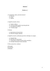 Istorijos pamokos planas-konspektas: Egiptiečių pasiekimai 8 puslapis