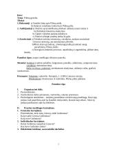 Išplėstinis istorijos pamokos planas: Pilėnų gynyba 2 puslapis