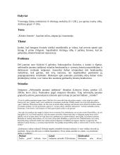 Išplėstinis pamokos planas: "Kitokie žmonės". Jaunimo stilius, adaptacija visuomenėje 2 puslapis