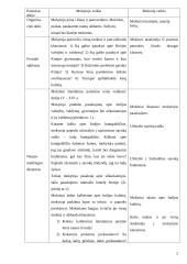 Išplėstinis pamokos planas: viduramžių Indija 2 puslapis
