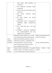 Išplėstinis pamokos planas: viduramžių Indija 3 puslapis