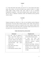 Išplėstinis pamokos planas: viduramžių Indija 4 puslapis