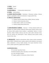 Joninių šventės organizavimas