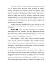 Joninių šventės organizavimas 3 puslapis