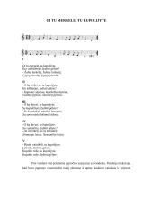 Joninių šventės organizavimas 7 puslapis