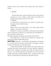 Joninių šventės organizavimas 8 puslapis