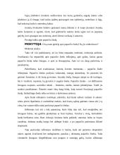 Joninių šventės organizavimas 9 puslapis