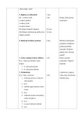 Kontrolinės pamokos išplėstinis  planas - konspektas: kūno kultūra 2 puslapis