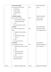 Kontrolinės pamokos išplėstinis  planas - konspektas: kūno kultūra 3 puslapis