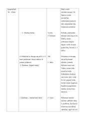 Kontrolinės pamokos išplėstinis  planas - konspektas: kūno kultūra 4 puslapis