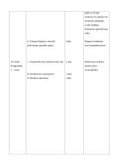 Kontrolinės pamokos išplėstinis  planas - konspektas: kūno kultūra 5 puslapis