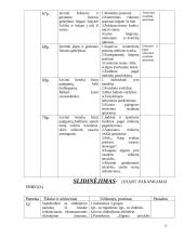 Kūno kultūra. Teminis planas II klasei 13 puslapis