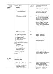 Kūno kultūros pamokos planas (antrai klasei) 3 puslapis