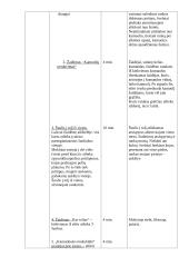 Kūno kultūros pamokos planas (antrai klasei) 4 puslapis