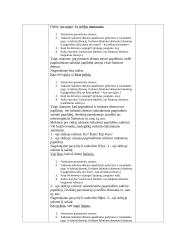 Lietuvių kalbos pamokos planas: Šalutiniai veiksnio ir papildinio sakiniai 4 puslapis