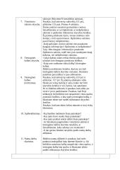 Lietuvių kalbos pamokos planas: Vientisinis sakinys. Skyryba. Tiesioginė kalba 3 puslapis