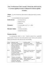 Lietuvių kalbos pamokų planai 19 puslapis