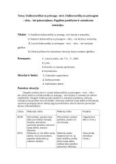 Lietuvių kalbos pamokų planai 7 puslapis