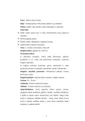 Mamos dienos šventės scenarijus