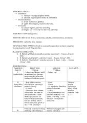 Mišri pamoka II klasei