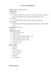 Pamokos planas-konspektas: Žmogaus ir piliečio politinės teisės 2 puslapis