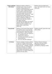 Pamokos planas-konspektas: Žmogaus ir piliečio politinės teisės 5 puslapis