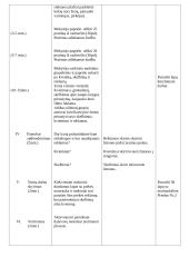 Pamokos planas: Mokomės rašyti skelbimą, kvietimą, reklamą 3 puslapis