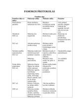 Pamokos planas: S. Nėris "Eglė -  žalčių karalienė" 2 puslapis