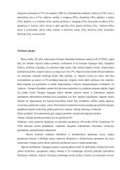 Ispanijos ekonominė analizė 11 puslapis