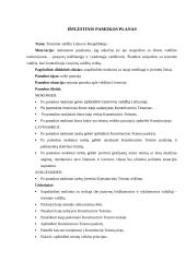 Pilietinio ugdymo pamokos išplėstinis planas: "Teisminė valdžia Lietuvos respublikoje" 2 puslapis