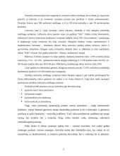 Projektas: prevencinė vasaros stovykla "Aušra" 2 puslapis