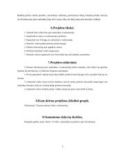 Projektas: prevencinė vasaros stovykla "Aušra" 3 puslapis