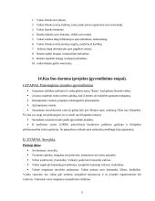 Projektas: prevencinė vasaros stovykla "Aušra" 5 puslapis