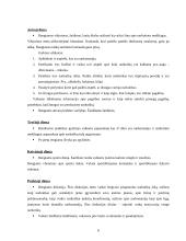 Projektas: prevencinė vasaros stovykla "Aušra" 6 puslapis