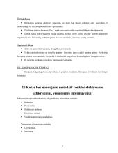 Projektas: prevencinė vasaros stovykla "Aušra" 7 puslapis