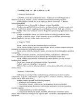 Daugybės raštvedybos dokumentų 19 puslapis