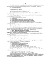 Daugybės raštvedybos dokumentų 20 puslapis