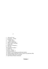 Renginio planas: "Laisvalaikis su matematika" 4 puslapis