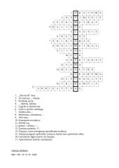 Renginio planas: "Laisvalaikis su matematika" 6 puslapis