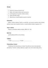 Renginio planas: šventė "Tai bent Šeimynėlė" 2 puslapis