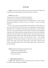 Renginio planas: šventė "Tai bent Šeimynėlė" 3 puslapis