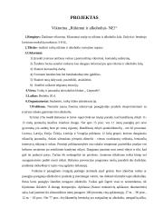 Renginio planas: viktorina "Rūkymui ir alkoholiui - ne"