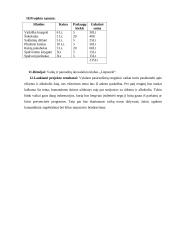 Renginio planas: viktorina "Rūkymui ir alkoholiui - ne" 3 puslapis