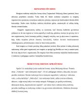 Renginio scenarijus mokytojų dienai: "Vaikystė – tarsi skriejantis vėjas" 6 puslapis