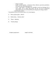 Renginio scenarijus: Vakaronė - koncertas Šv. Valentino dienai "Tas saldus žodis – meilė" 3 puslapis