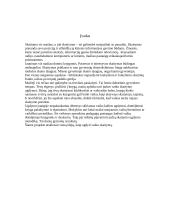 Skaitytojo ugdymas ketvirtoje klasėje 2 puslapis