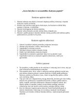 Skaitytojo ugdymas ketvirtoje klasėje 3 puslapis